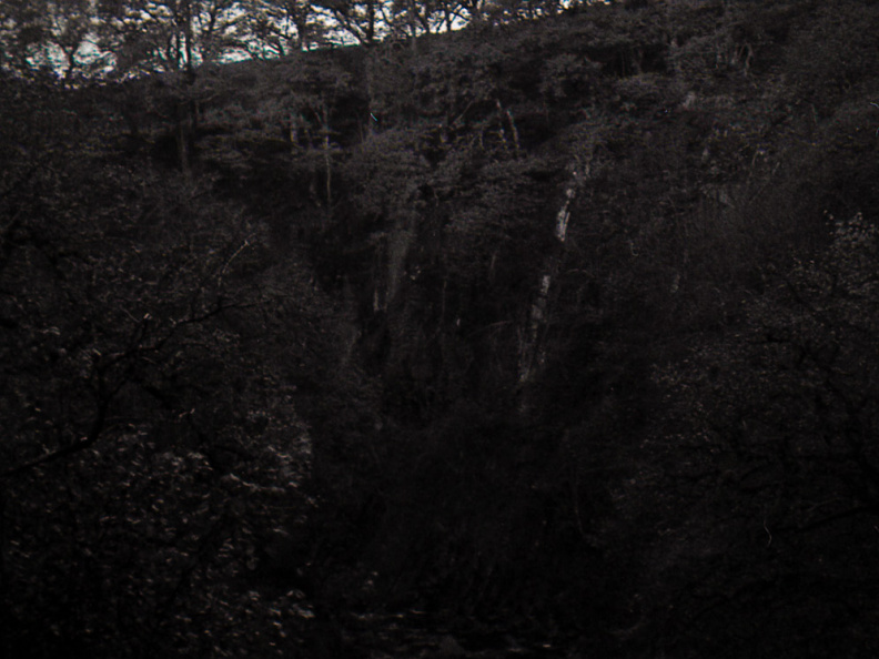 halina paulette tri-x013