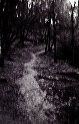 halina paulette tri-x022