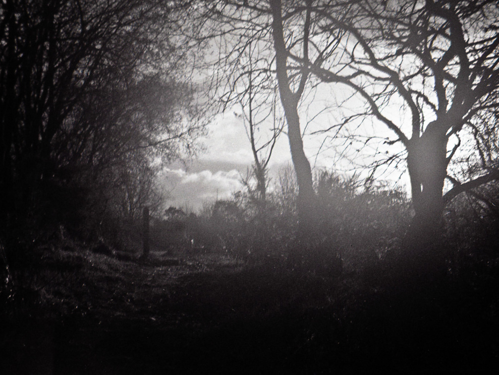 halina paulette tri-x025