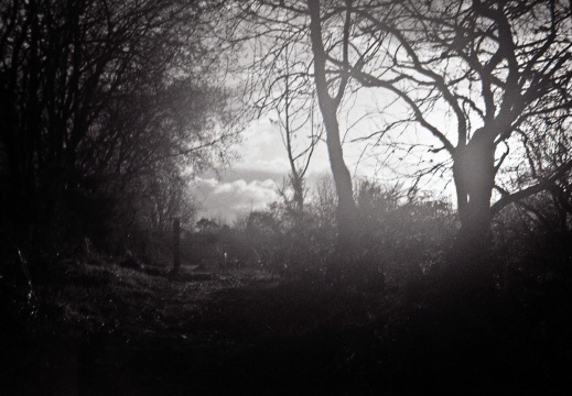 halina paulette tri-x025