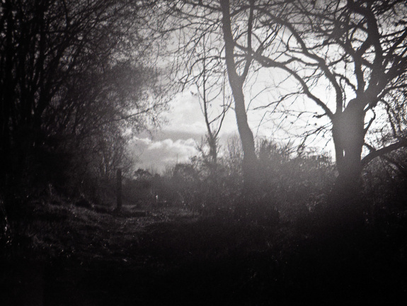 halina paulette tri-x025