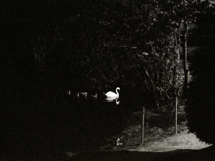 zorki4k acupan800 011