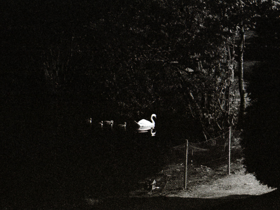 zorki4k acupan800 011