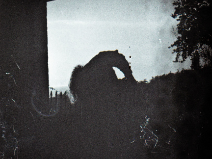 zorki4k acupan800 023