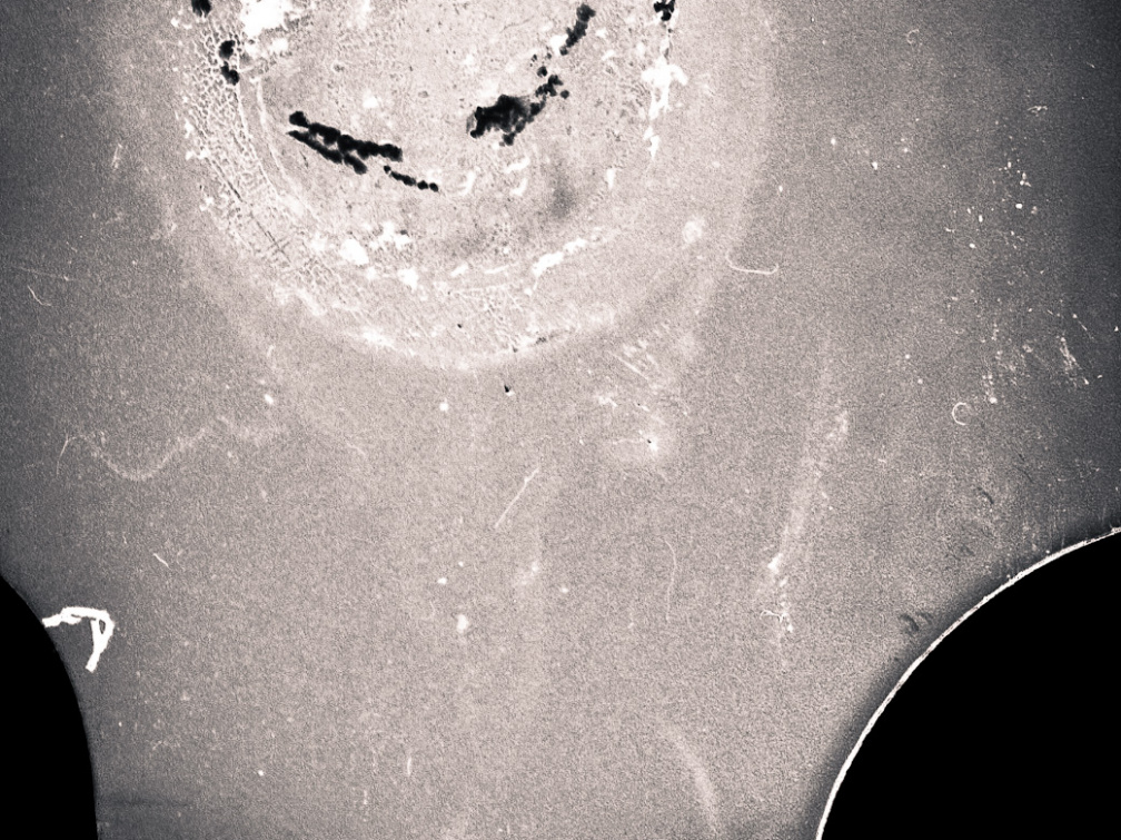 zorki4k acupan800 024