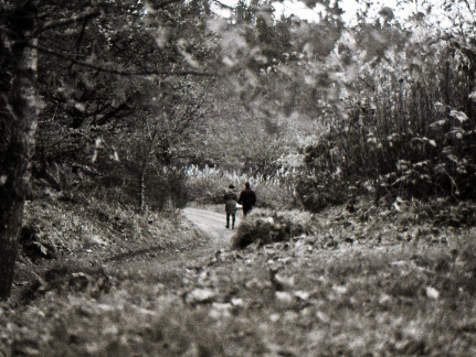 om40 hp5 exp-nov1988 06