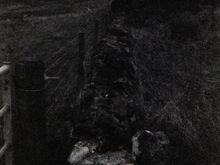 om40 hp5 exp-nov1988 028