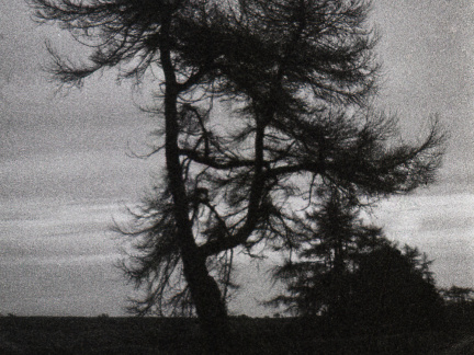 om40 hp5 exp-nov1988 035