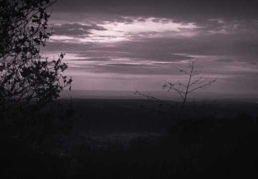 om10 tri-x castle campbell 005