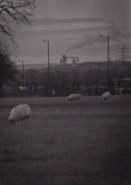 om40 tx400037