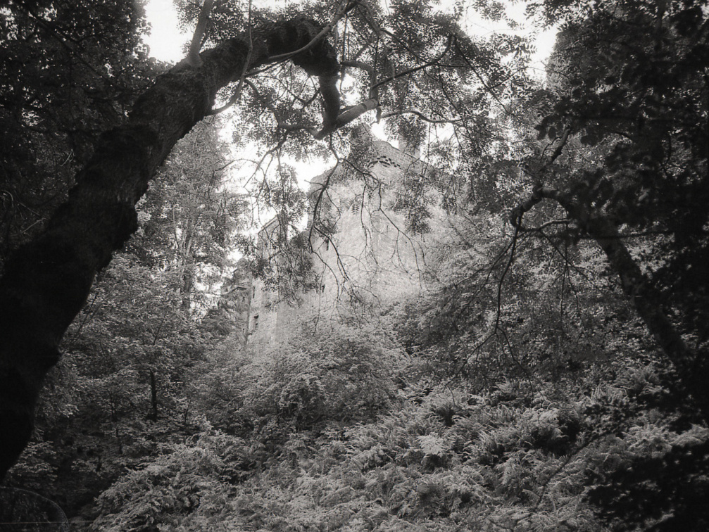 om20 foma100 at400 lc29push1010