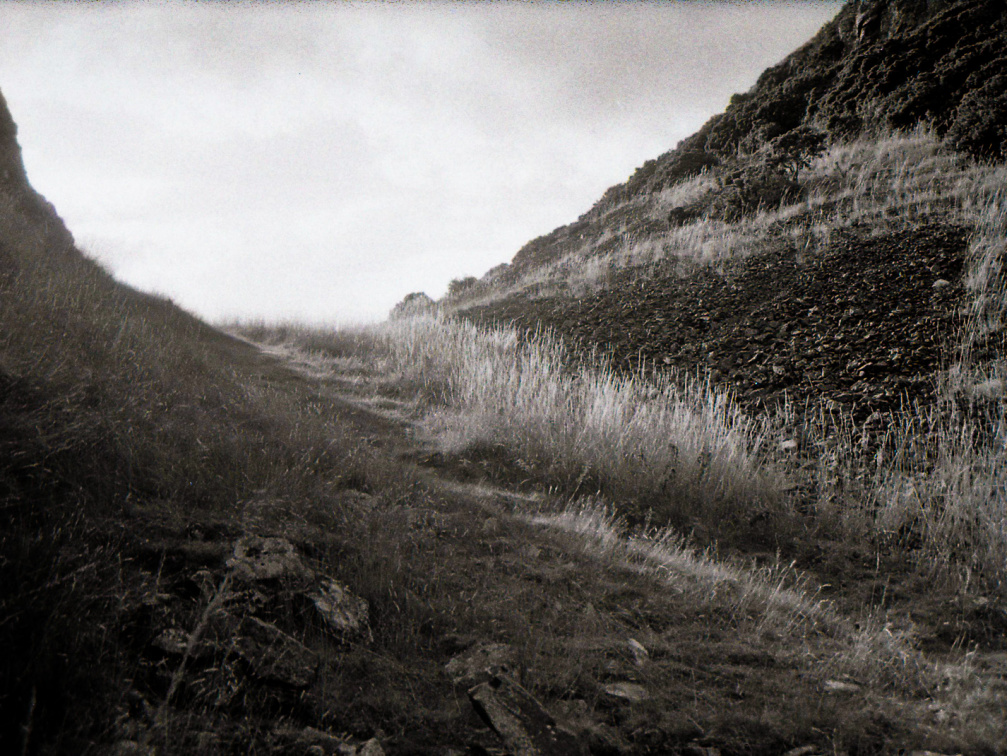 ae1 foma100 lc29 013