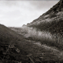 ae1 foma100 lc29 013