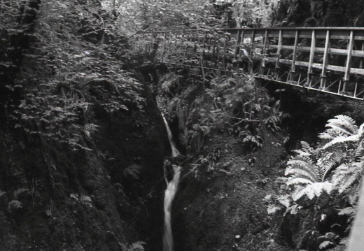 om20 foma100 at400 lc29push1006