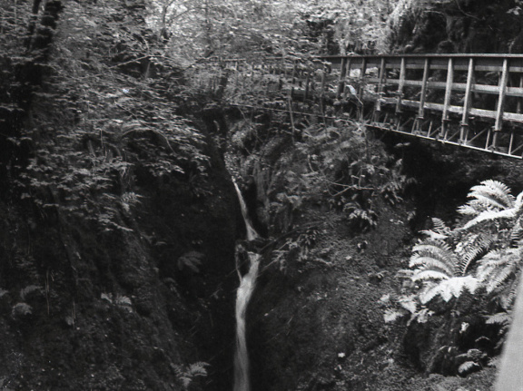 om20 foma100 at400 lc29push1006