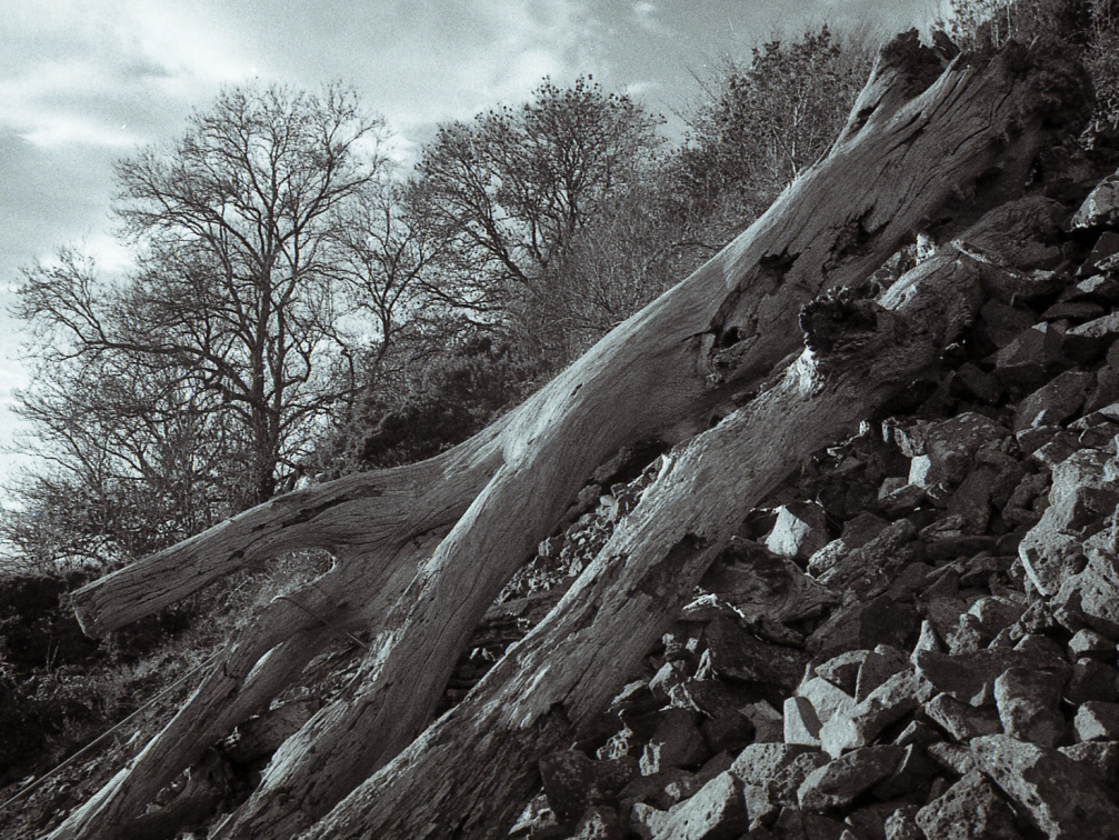 om10 pink 28mm lc29 002