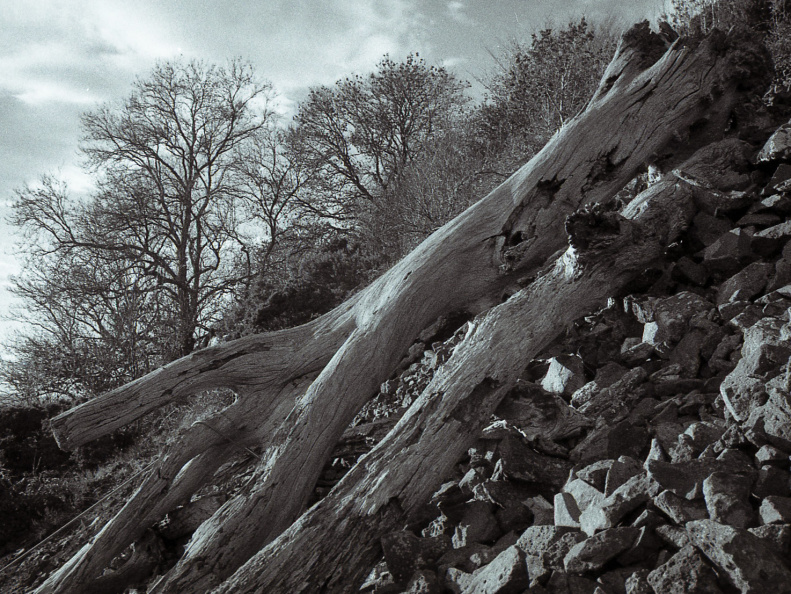 om10 pink 28mm lc29 002