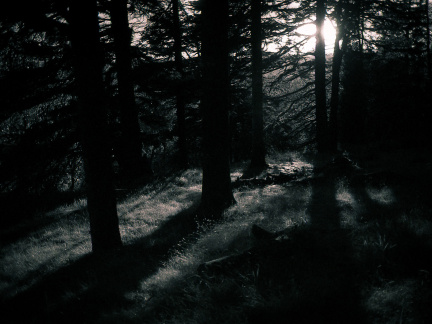 om10 pink 28mm lc29 028