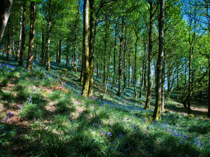 DSC 6876 AuroraHDR2018-edit