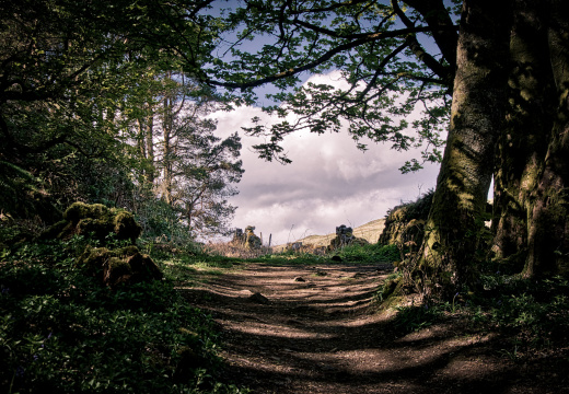 DSC 6931 AuroraHDR2018-edit