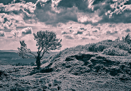 DSC 6952 AuroraHDR2018-edit