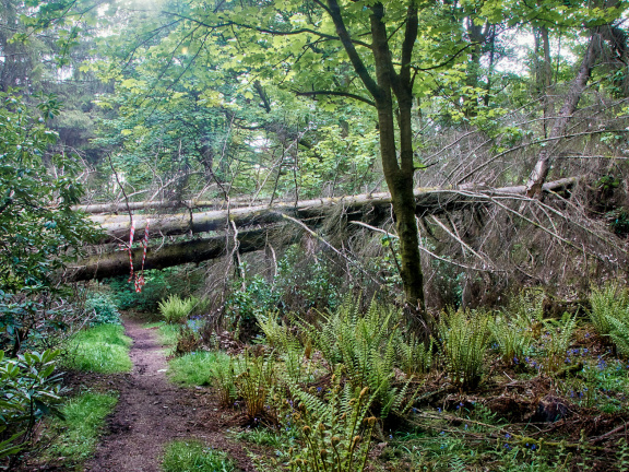 DSC 7297 AuroraHDR2018-edit