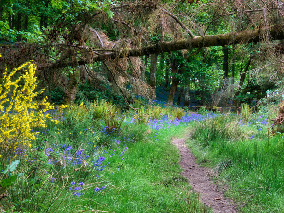 DSC 7306 AuroraHDR2018-edit