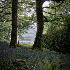 DSC 7366 AuroraHDR2018-edit