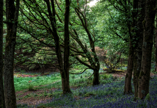 DSC 7372 AuroraHDR2018-edit