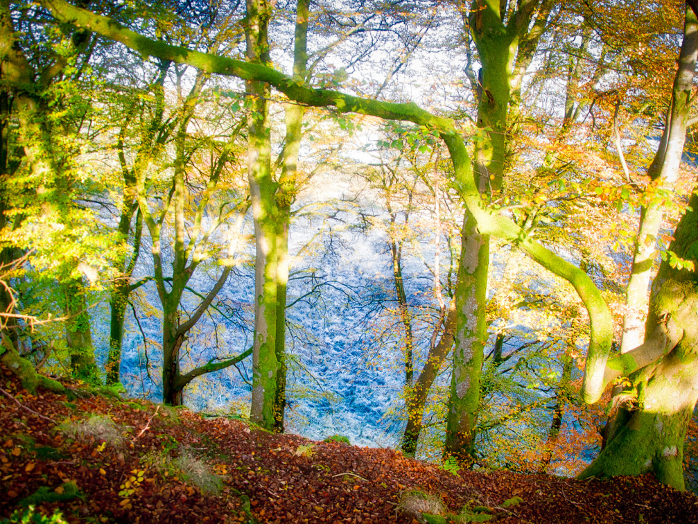 DSC 8178 AuroraHDR2018-edit