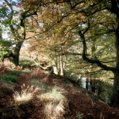 DSC 8184 AuroraHDR2018-edit