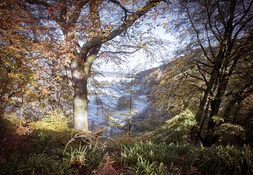 DSC 8190 AuroraHDR2018-edit