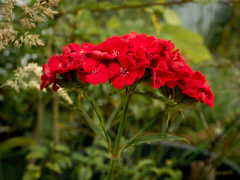 P7120034