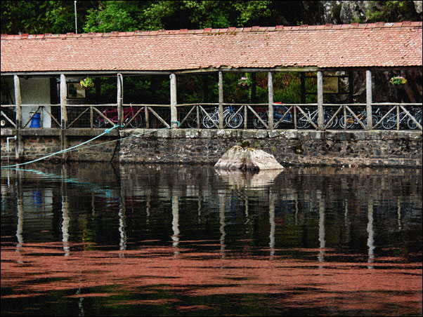 p7052682_copy.jpg
