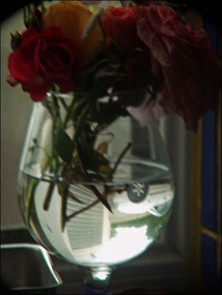 reflection