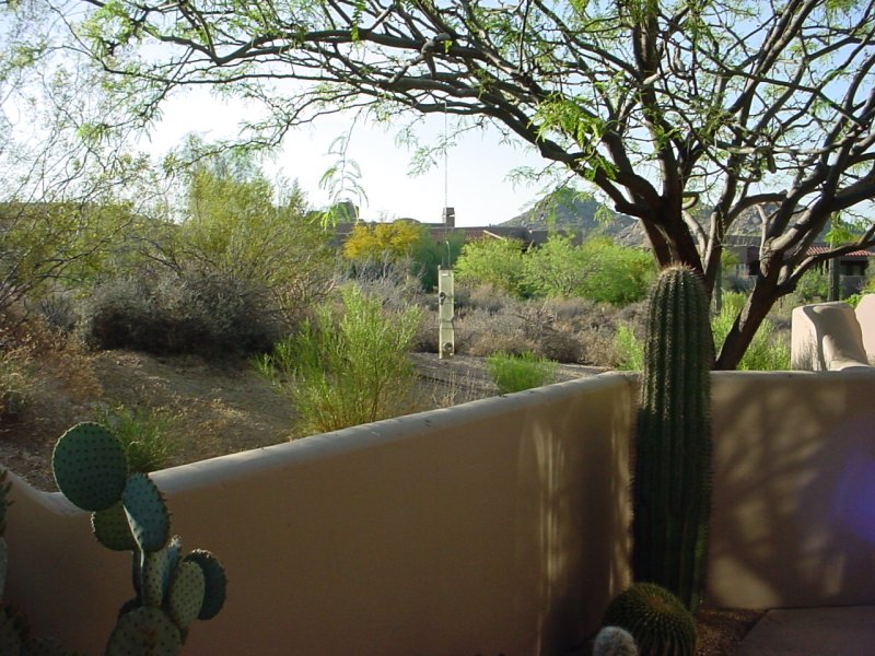 patioview